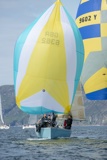 popcorn gbr8382 whyw19 thur gjmc 5588
